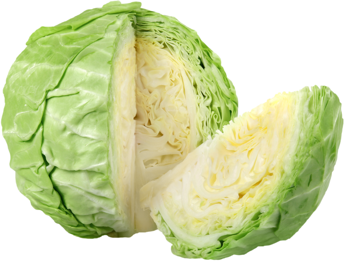 Cabbage Isolated on White Background