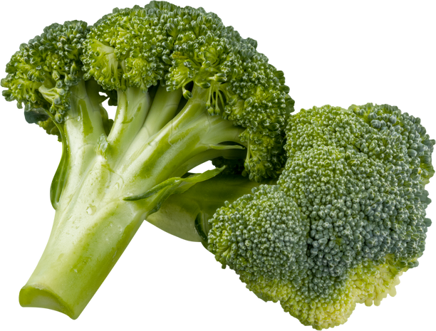 Fresh Broccoli - Isolated